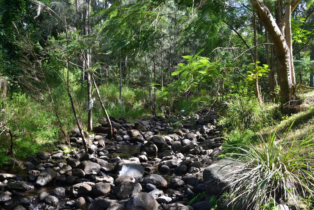 Hotel Tuckers Retreat à Canungra Extérieur photo