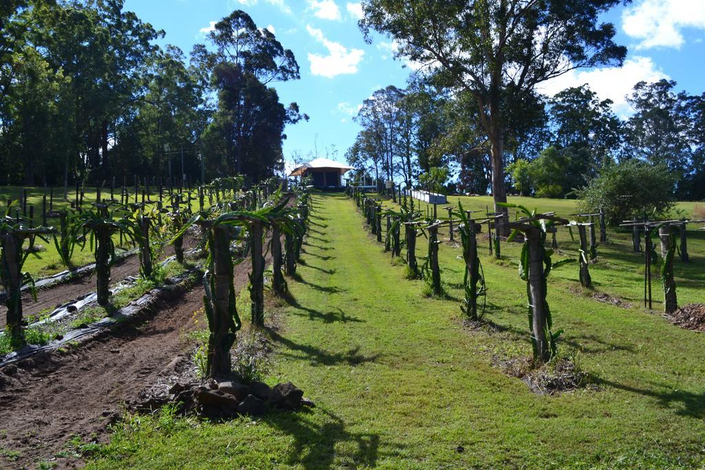 Hotel Tuckers Retreat à Canungra Extérieur photo