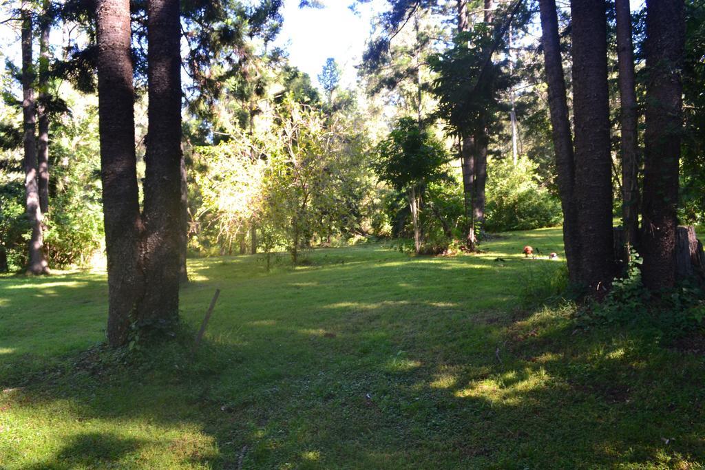 Hotel Tuckers Retreat à Canungra Extérieur photo