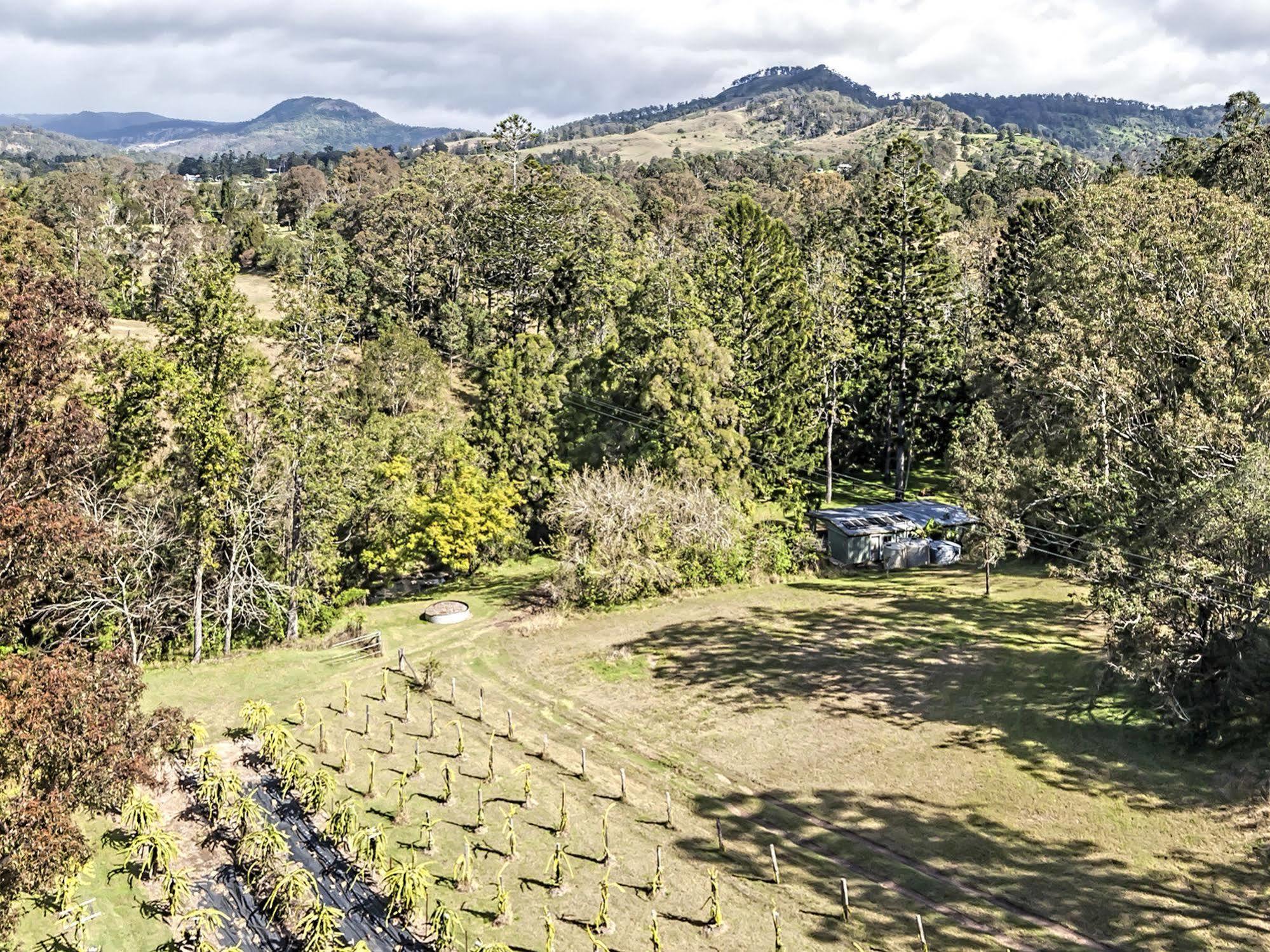 Hotel Tuckers Retreat à Canungra Extérieur photo