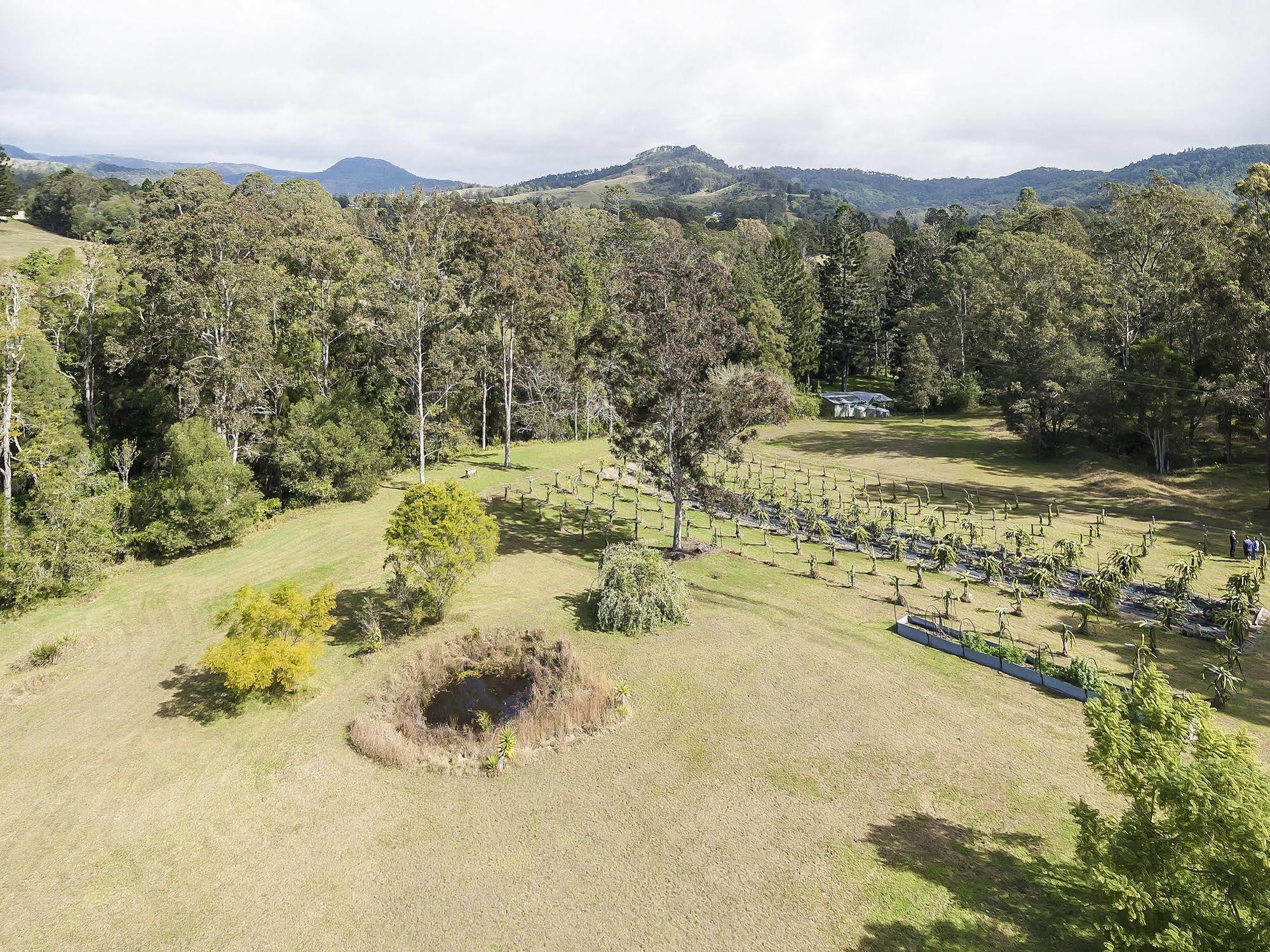 Hotel Tuckers Retreat à Canungra Extérieur photo