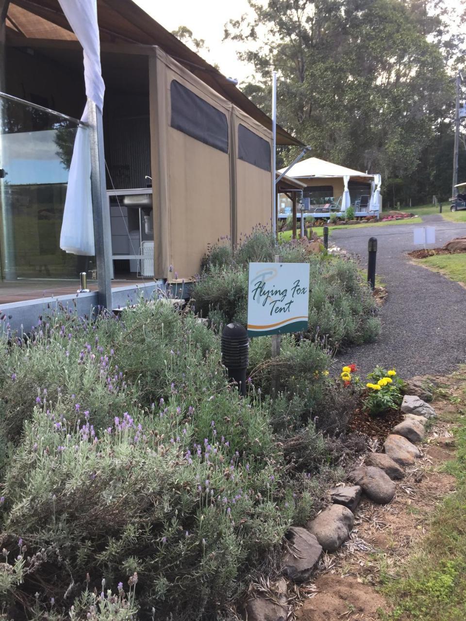 Hotel Tuckers Retreat à Canungra Extérieur photo